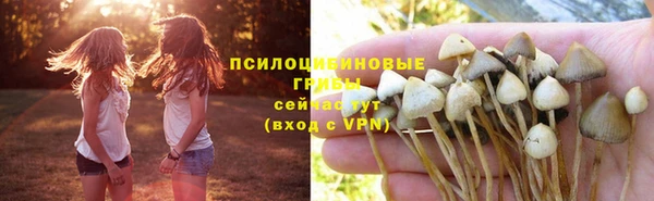 кристаллы Белокуриха