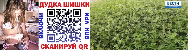 Марихуана сатива  Шадринск 